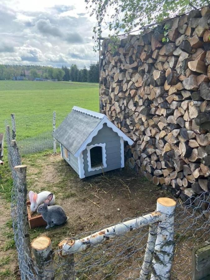 Domek Na Uboczu Gryfów Śląski 外观 照片